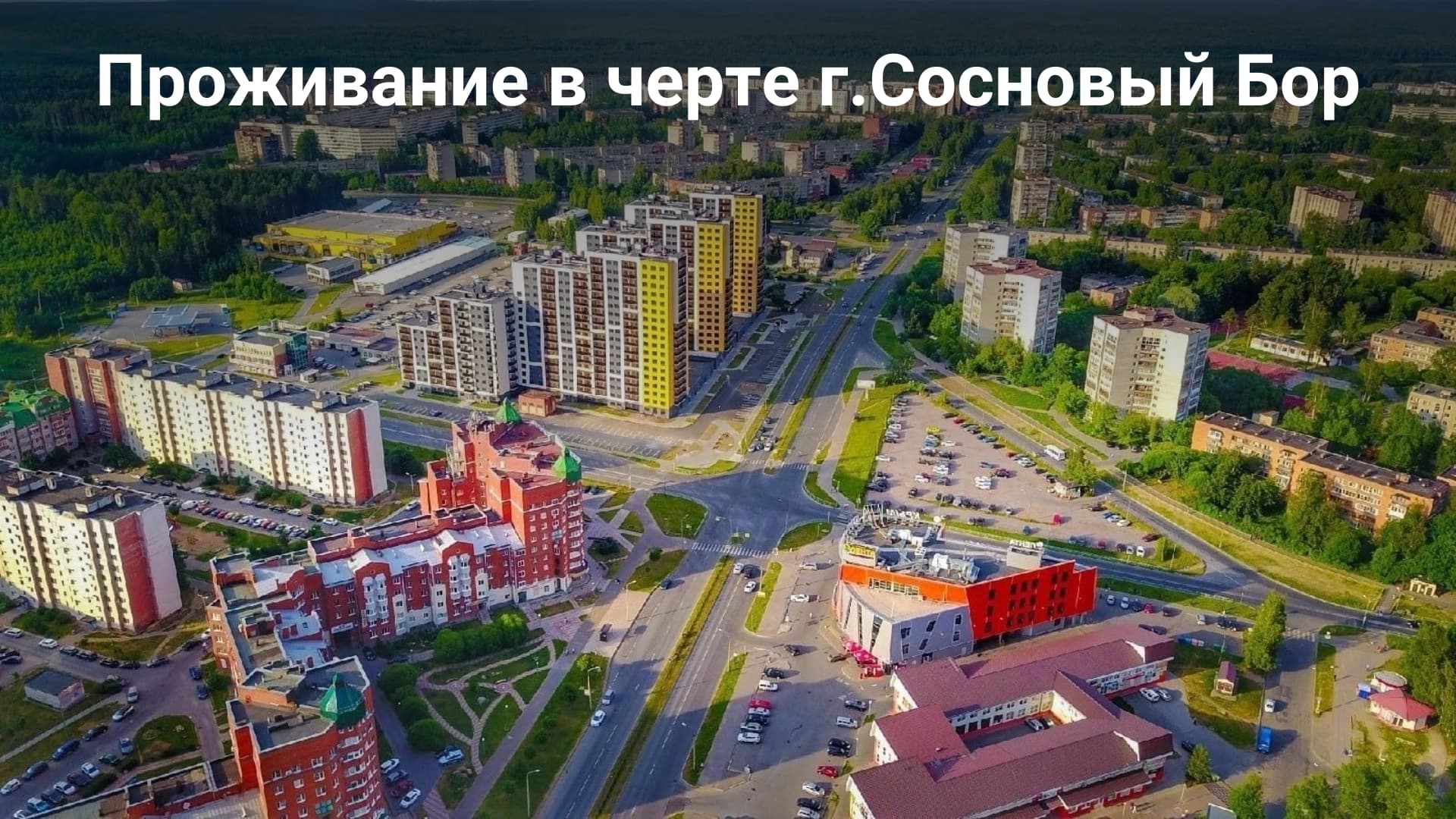 Превью 3